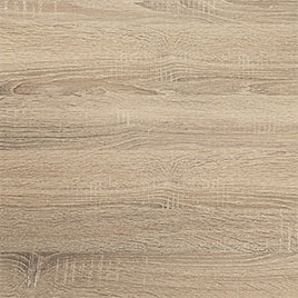 Bergeiche P64
